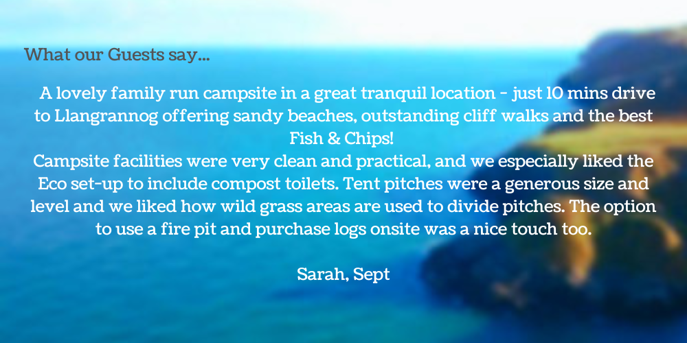 tranquil, eco, Llangrannog, campsite, fire pit
