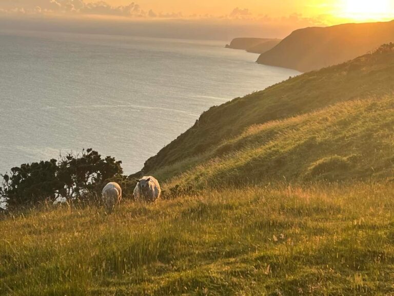 Ceredigion, Cardigan bay, Bae Ceredigion, Ceredigion Coastal path, Wales