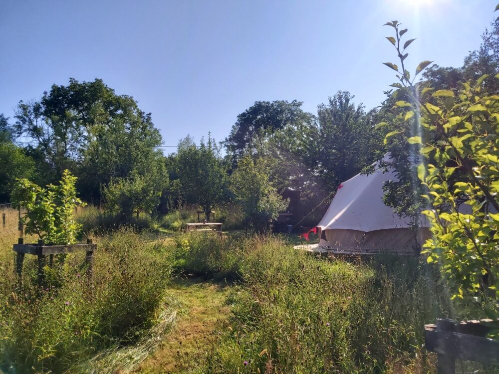 glamping, bell tent, orchard, dog friendly, family friendly