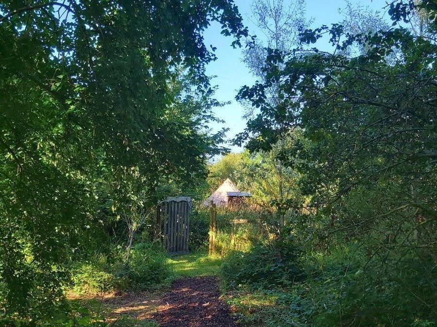 bell tent, glamping, magical, Wales, Llangrannog, dog friendly