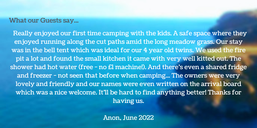 fire pit, safe space, toddlers,