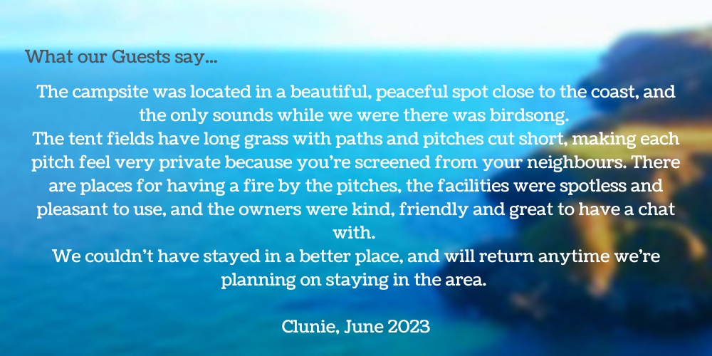 private, quiet, bird song, wild grass, camp fire, friendly campsite