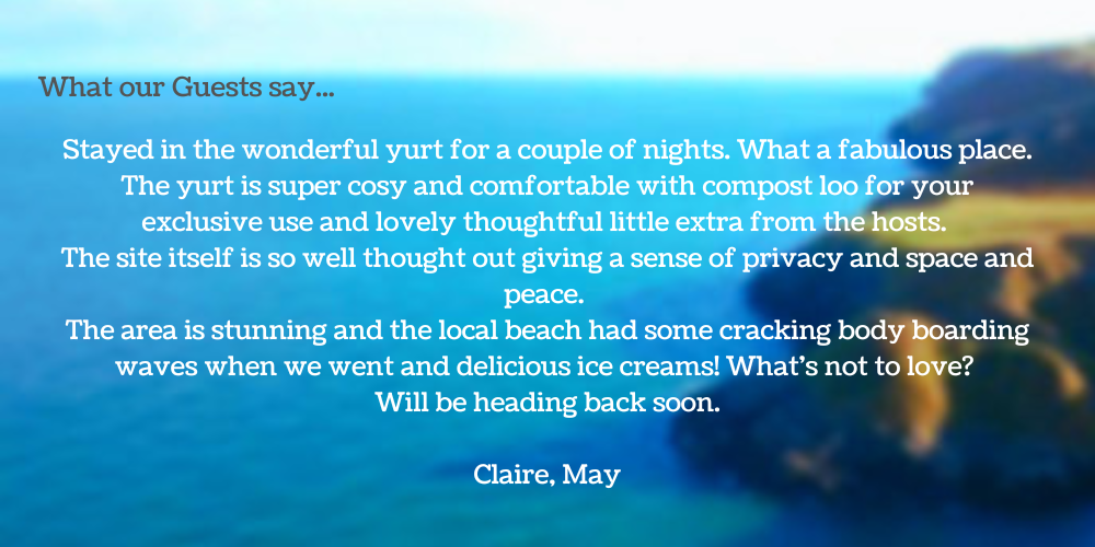 body boarding, fabulous, cosy, private
