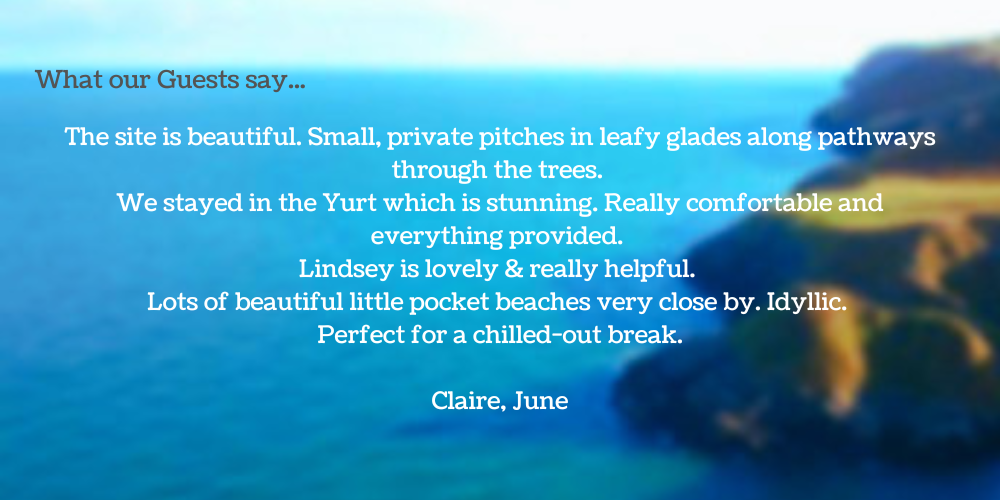 yurt, idyllic, leafy glades, private