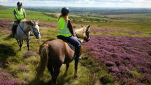 pony trekking, preseli hills, horse riding, pembrokeshire, pembroke national park