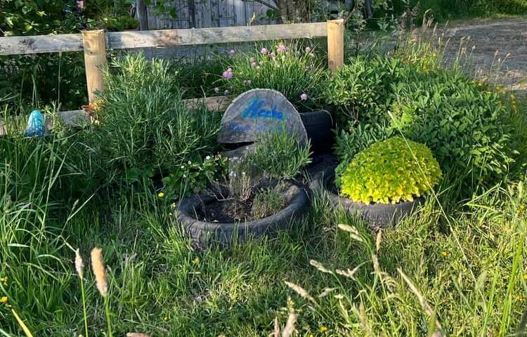 herbs garden, eco camping, sustainable tourism, off grid living