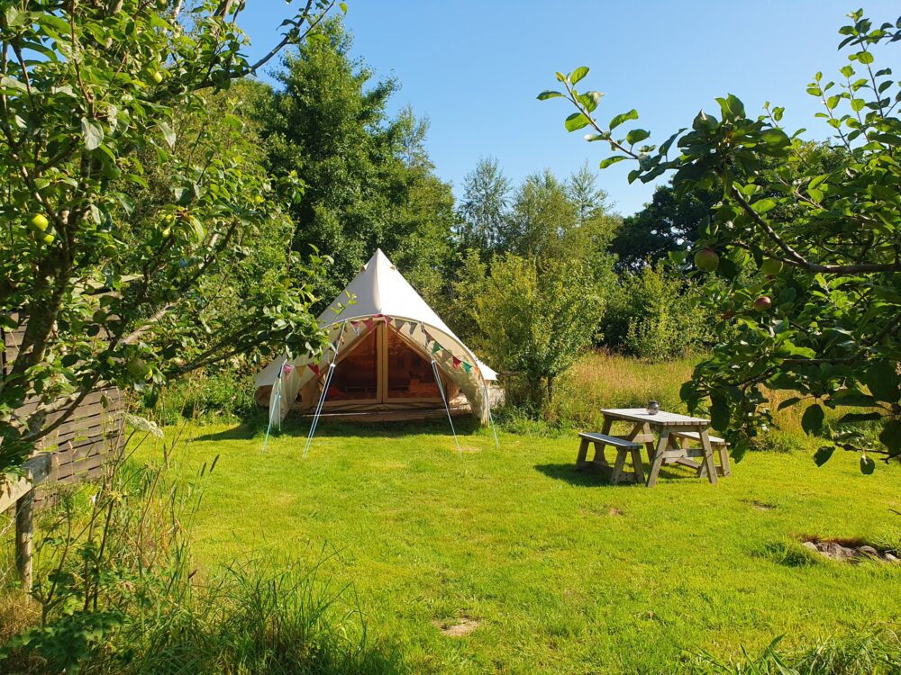 eco glamping, family glamping, dog friendly glamping, bell tent glamping Wales