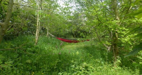 hammock in trees, family fun, family holiday, family camping, camping with kids