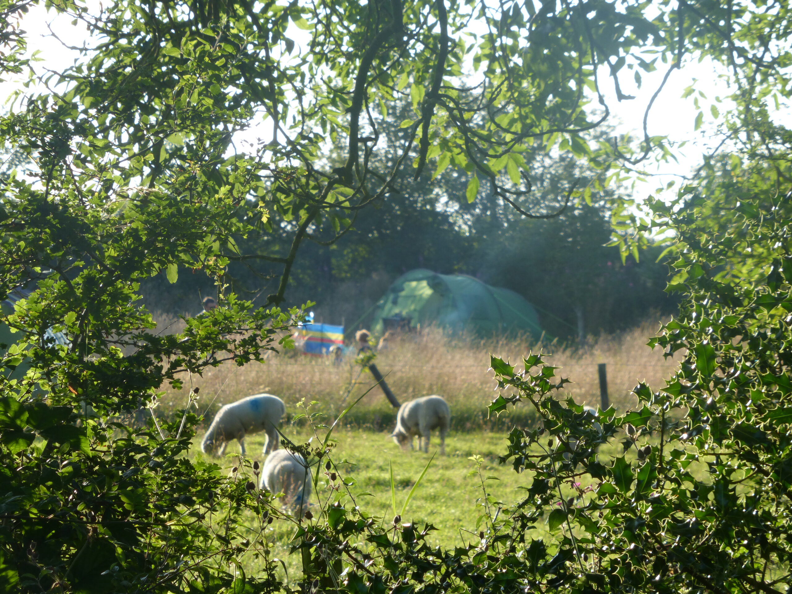 family holiday, family camping, family camping wales,