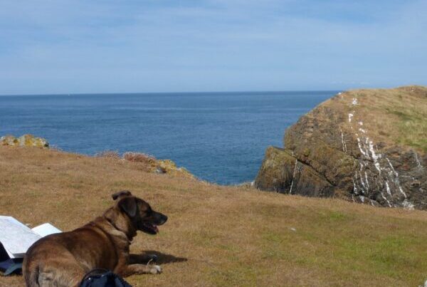 Wales Coastal Path, Ceredigion, dog friendly holidays